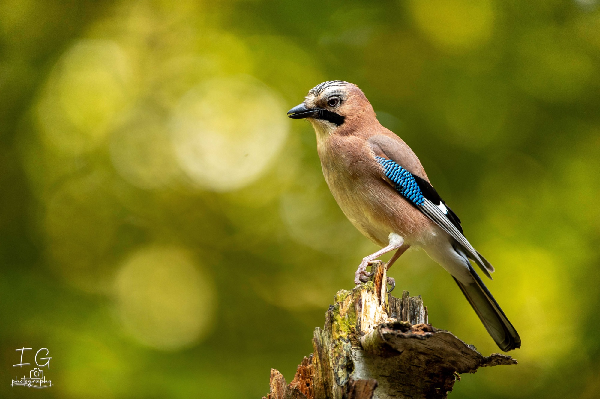 20211015  5D49110 instagram